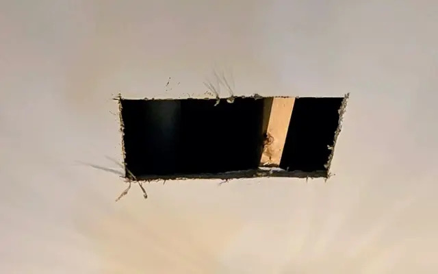 Ceiling Repair