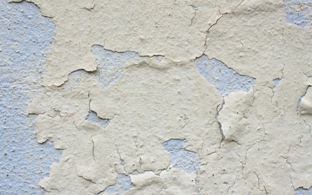 Plaster Repair